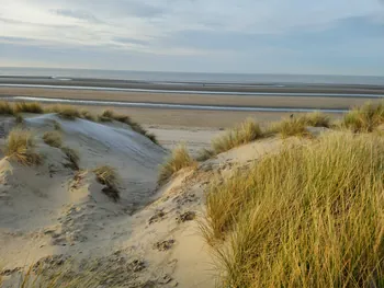 Oostnieuwkerke duinen wandeling in de koude (België)